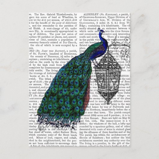 Pfau auf Lamp Postkarte (Vorderseite)