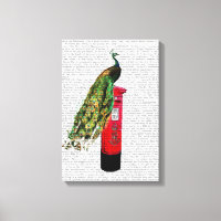 Pfau auf Postbox