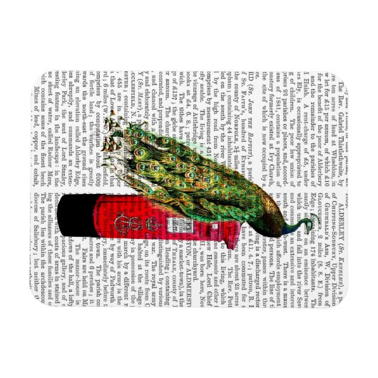 Pfau auf Postbox Magnet (Horizontal)