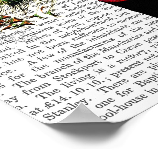 Pfau auf Postbox Poster (Ecke)