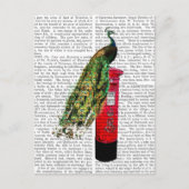 Pfau auf Postbox Postkarte (Vorderseite)