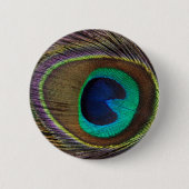 Pfau-Augen-Feder Button (Vorderseite)