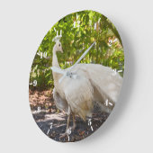 Pfau aus weißem Pfau Große Wanduhr (Winkel)