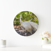 Pfau aus weißem Pfau Große Wanduhr (Zuhause)