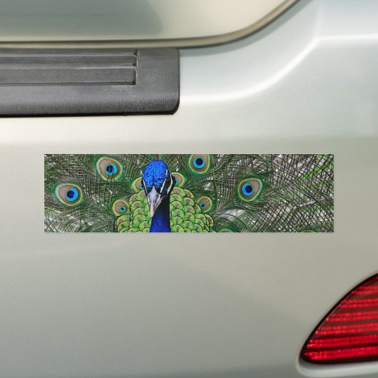 Pfau Autoaufkleber (Auf Auto)