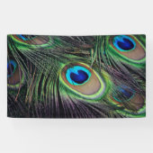 Pfau Banner (Horizontal)