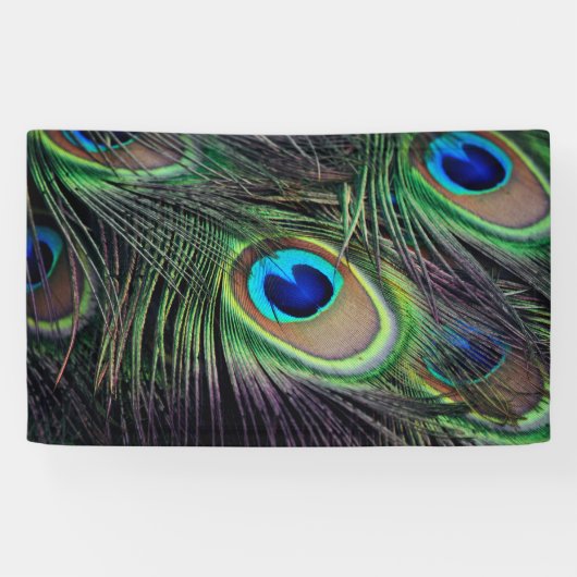 Pfau Banner (Horizontal)