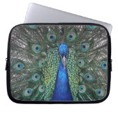 Pfau-Benommenheit Laptopschutzhülle (Vorderseite)