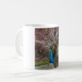 Pfau-Bild Kaffeetasse (Vorderseite Links)
