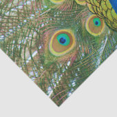 Pfau-Blau-Kopf mit und bunte Schwanz-Federn Seidenpapier (Detail)