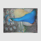 Pfau-bunte Nahaufnahme Seidenpapier (Vorderseite)