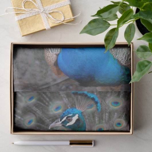Pfau-bunte Nahaufnahme Seidenpapier (Geschenk)