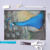 Pfau-bunte Nahaufnahme Seidenpapier (Handwerk)