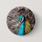 Pfau Button (Vorderseite)