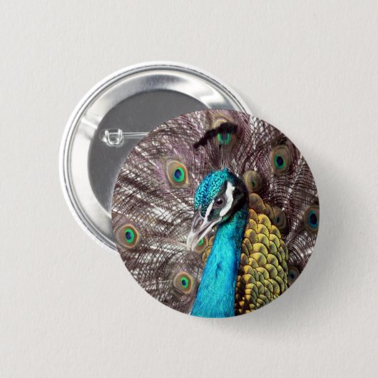 Pfau Button (Vorne & Hinten)