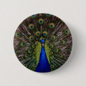Pfau Button (Vorderseite)