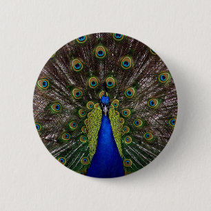 Pfau Button