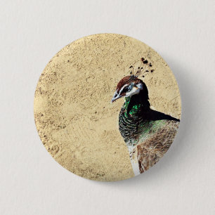 Pfau Button