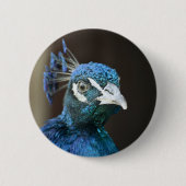 Pfau Button (Vorderseite)