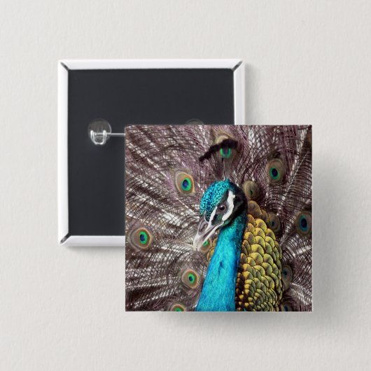 Pfau Button (Vorne & Hinten)