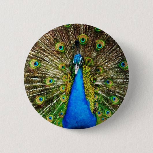 Pfau-Button Button (Vorderseite)