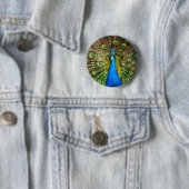 Pfau-Button Button (Beispiel)