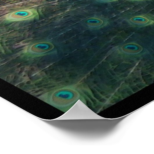 'Pfau' Canvas Print Poster (Ecke)