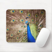 Pfau, der den Untergang zeigt Mousepad (Mit Mouse)