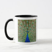 Pfau, der seine Federn, als Teil a zeigt Tasse (Links)