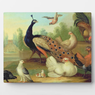 Pfau, Dosen, Hühner und eine Jay in einem Park Fotoplatte