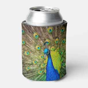 Pfau Dosenkühler