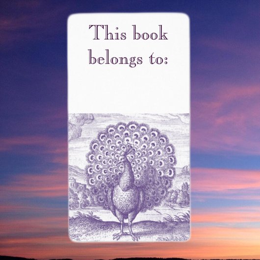 Pfau, eine Vintage Gravur