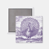 Pfau, eine Vintage Gravur Magnet (Vorderseite/Rückseite)