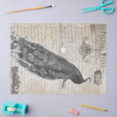 Pfau-Eintagsfliege-Collage Seidenpapier (Basteln)