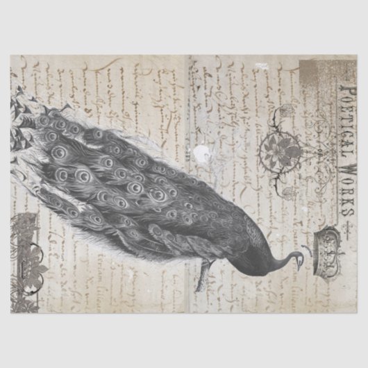 Pfau-Eintagsfliege-Collage Seidenpapier (Vorderseite)