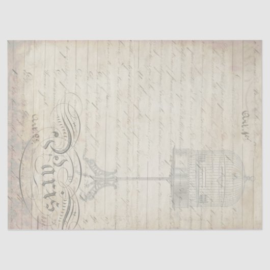 Pfau-Eintagsfliegen Decoupage Begleiter-Papier Seidenpapier (Vorderseite)