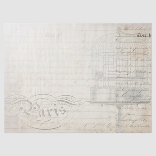 Pfau-Eintagsfliegen Decoupage Begleiter-Papier Seidenpapier (Vorderseite)