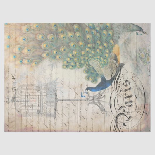 Pfau-Eintagsfliegen Decoupage Papierrecht Seidenpapier (Vorderseite)