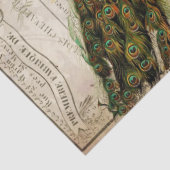 Pfau-Eintagsfliegen Decoupage Seidenpapier (Detail)