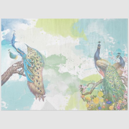 Pfau Ephemera 1 Seidenpapier (Vorderseite)