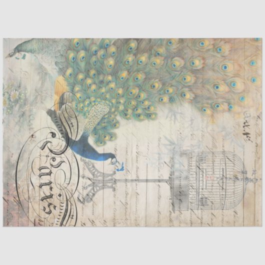 Pfau Ephemera Dekoupage Paper Seidenpapier (Vorderseite)