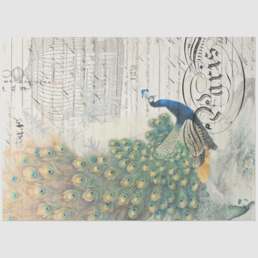 Pfau-Ephemera-Dekoupage Seidenpapier (Vorderseite)