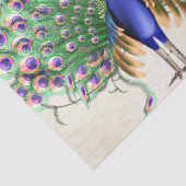Pfau-Ephemere 6 Seidenpapier (Ausschnitt)