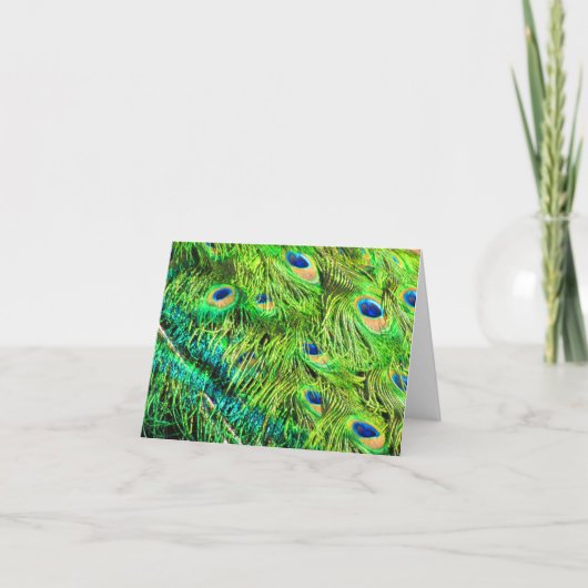 Pfau-Farbe Karte (Vorderseite)