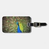 Pfau-Farbschönheit Gepäckanhänger (Vorderseite horizontal)