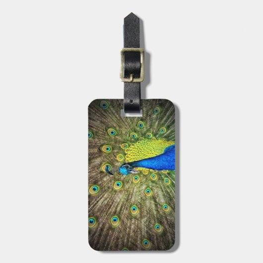 Pfau-Farbschönheit Gepäckanhänger (Vorderseite vertikal)