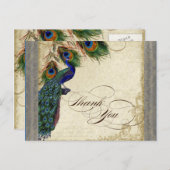 Pfau & Feather Formal Vielen Dank Hinweis Silber Postkarte (Vorne/Hinten)