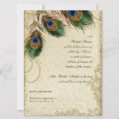 Pfau & Feathers Brautparty Feste Karte (Rückseite)
