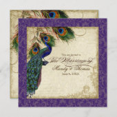 Pfau & Feathers Einladung Lila (Vorne/Hinten)
