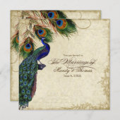 Pfau & Feathers Feierliche Hochzeit Tee fest Einladung (Vorne/Hinten)